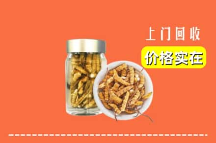 诚信求购:顺河区高价回收散虫草