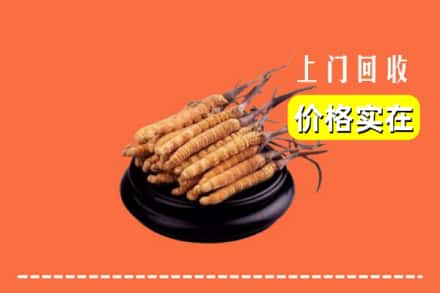 诚信求购:顺河区高价回收冬虫夏草