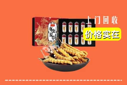 顺河区回收虫草